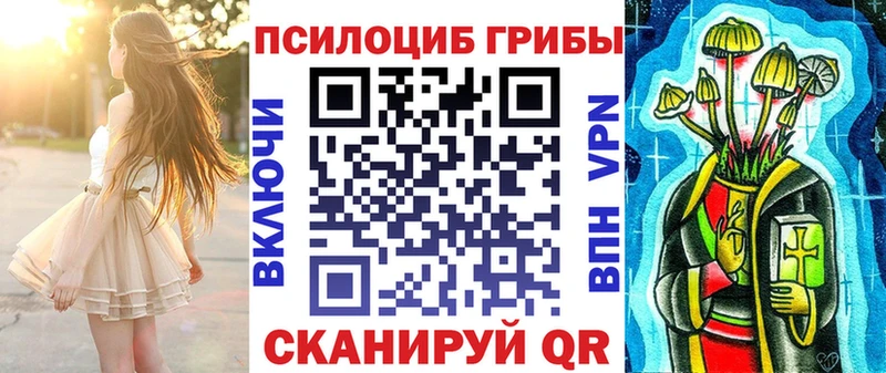 Псилоцибиновые грибы Psilocybe  kraken рабочий сайт  Ершов 